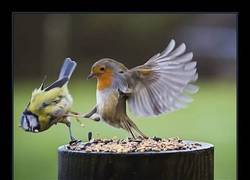 Enlace a ¡Esto es Esparta!