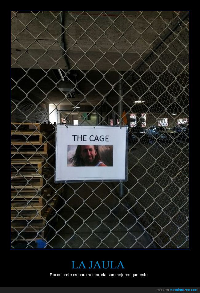 jaula,cage,nicolas,trabajo,cartel,foto