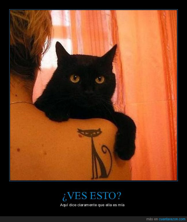 gato negro,posesión,tatuaje,ella