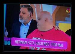 Enlace a HERNÁN