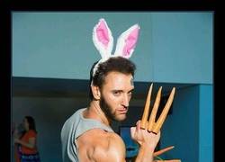 Enlace a El conejo de Pascua que no quisieras encontrarte en tu jardín
