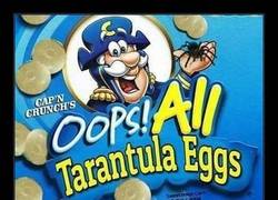 Enlace a ¡De alto nivel, sí señor!