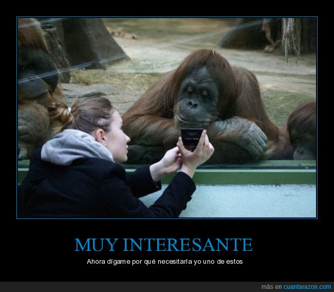 orangután,cristal,zoo,zoológico,smartphone,mano,enseñar,necesitar
