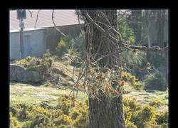 Enlace a Cómo le ha afectado la primavera, tú