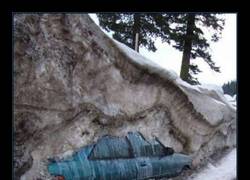 Enlace a Momento de descubrir cosas maravillosas