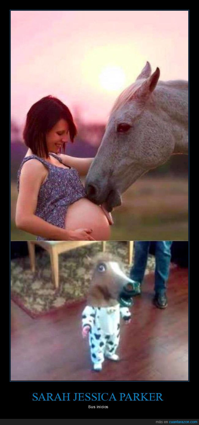 caballo,cara,cabeza,máscara,lengua,barriga,embarazada