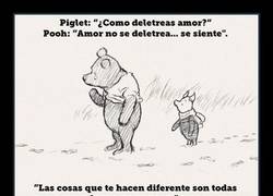 Enlace a 20 Sabias verdades de Winnie the Pooh