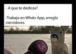 Enlace a Ya sabemos de quién es la culpa de la caída de Whatsapp