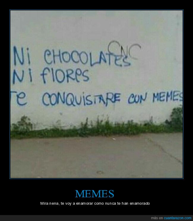 blanco,chocolate,conquistar,flores,grafitti,meme,pared
