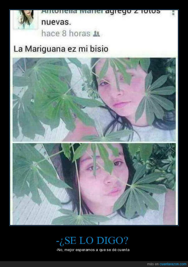 planta,marihuana,chica,facebook