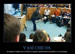 Enlace a ¿Pero qué cojo...?