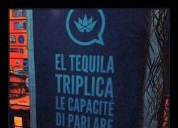 Enlace a La magia del tequila