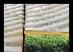 Enlace a Id vosotros, yo estoy más cómodo en Albacete