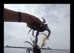 Enlace a ¡Premio gordo!