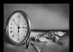 Enlace a Aunque te fijes bien, es casi imposible darse cuenta