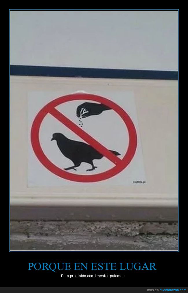 palomas,aves,condimentar,prohibido,lugar