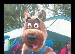 Enlace a Scooby ha repartido unos cuantos palos
