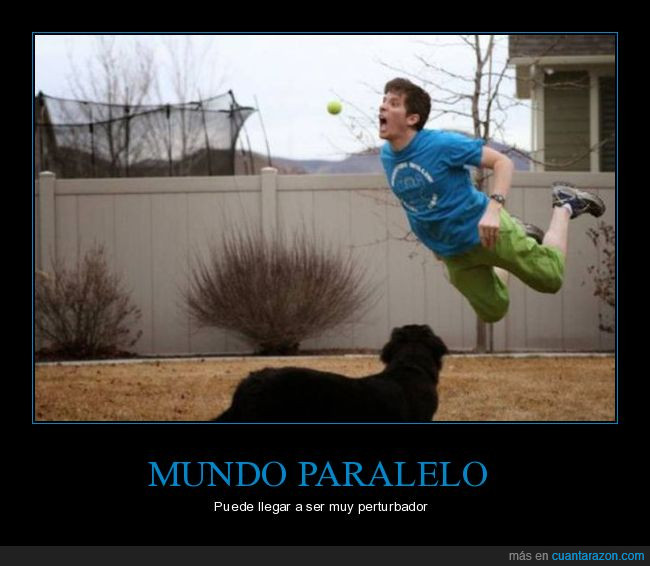 paralelo,mundo,salto,pelota,perro