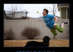 Enlace a ¡Atrapa la bola, Aitor!