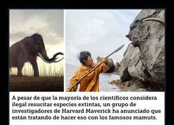 Enlace a Los científicos están resucitando a los mamuts