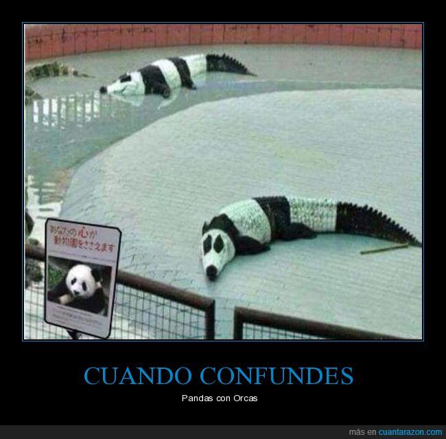 actua normal,muuuuu,no son cocodrilos,son orcas reales,vale son pandas ninjas
