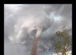 Enlace a El césped no se corta solo