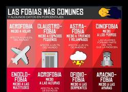 Enlace a LAS FOBIAS MÁS COMUNES