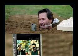 Enlace a La tortura del verano