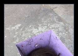 Enlace a Ahí está bien