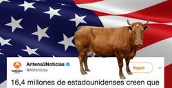 Enlace a Cuando creías que los americanos no podrían ser más tontos van y piensan esto de las vacas
