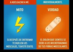 Enlace a 9 mitos del deporte y entrenamiento para callar la boca a todos los cuñados del bar