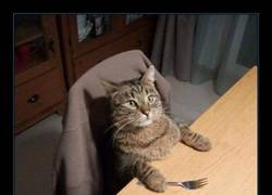 Enlace a DESESPERACIÓN