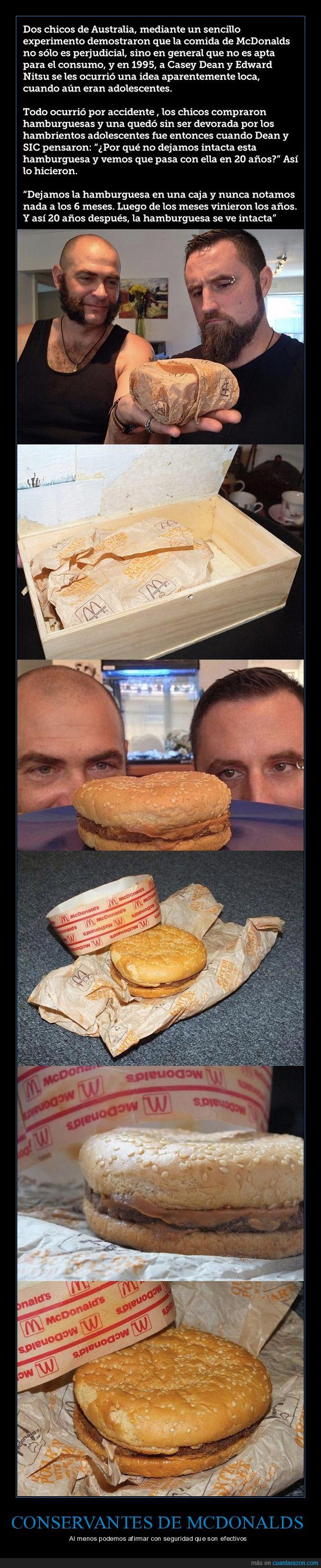 conservantes,hamburguesa,20 años,intacta,mcdonalds
