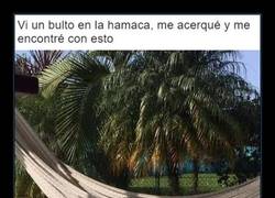 Enlace a Máxima envidia