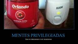Enlace a MENTES PRIVILEGIADAS