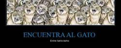 Enlace a Reto: ¿Puedes encontrar al gato escondido entre tanto búho?