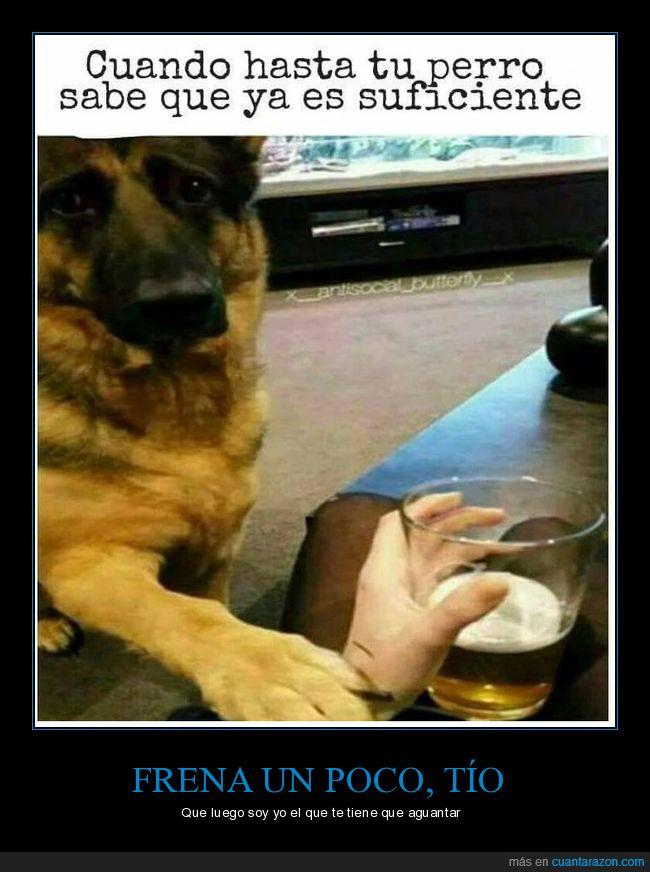 cerveza,perro,pedir