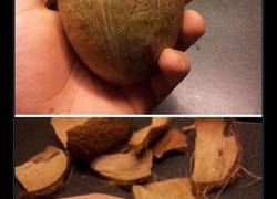 Enlace a 10 fotos perturbadoras de fruta sin piel