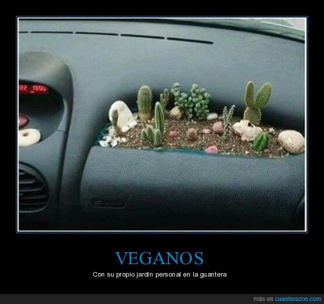 coche,cactus,veganos