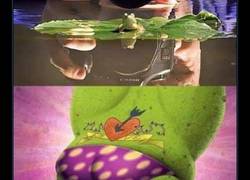 Enlace a CÁMARAS HD