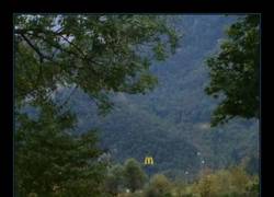 Enlace a Una escena de esas de documental en la que se ve al depredador acechando a su presa