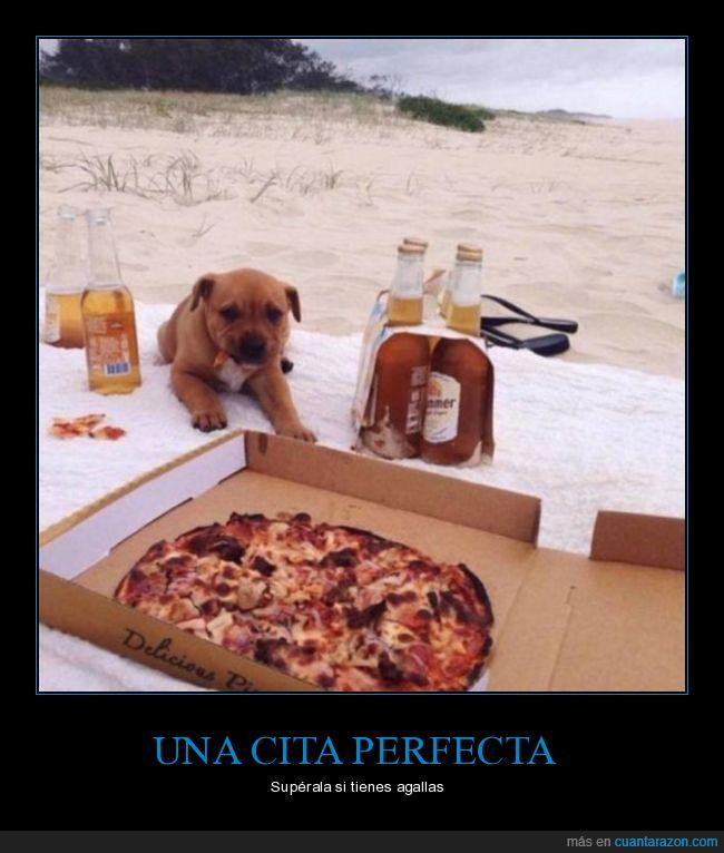 perro,cita,playa,pizza,cerveza
