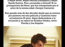 Enlace a ¿Recuerdas al pequeño de La vida es bella? Así es tras salir de su 