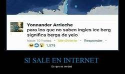 Enlace a Ice berg