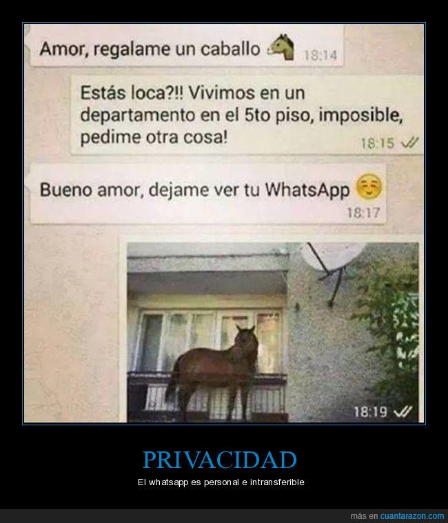 caballo,whatsapp,privado,pareja,amor