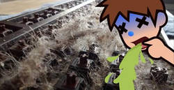 Enlace a El teclado más guarro del mundo es limpiado por dentro tras 6 años y lo que sacan es...