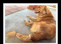 Enlace a Hay que decir que la trenza le queda monísima