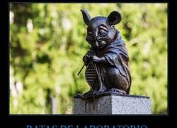 Enlace a Un gran reconocimiento