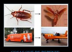 Enlace a ¡Todos a correr!