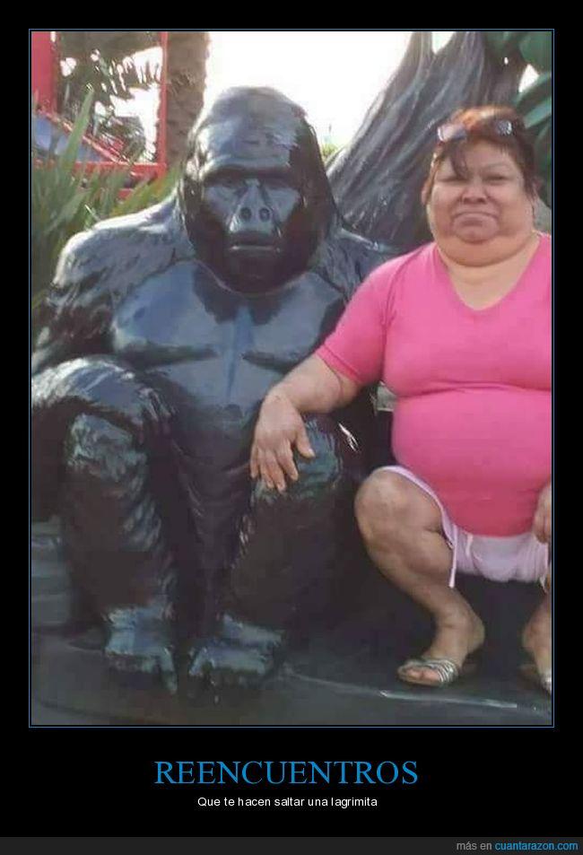 gorila,gorda